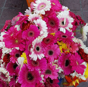 Meet your Posher, N.aslı